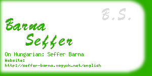 barna seffer business card